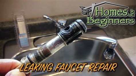 Leaky Moen Kitchen Faucet Repair : 8 Steps